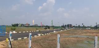 Project Image Project Image