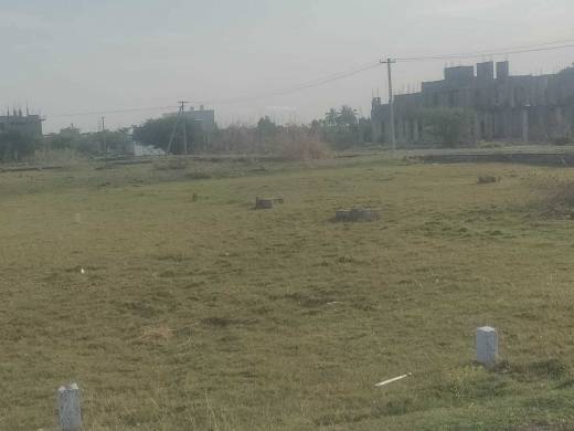 majestic-avenue Elevation Elevation