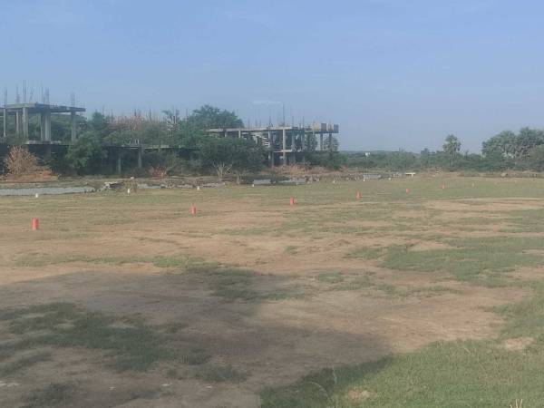  majestic-avenue Plot