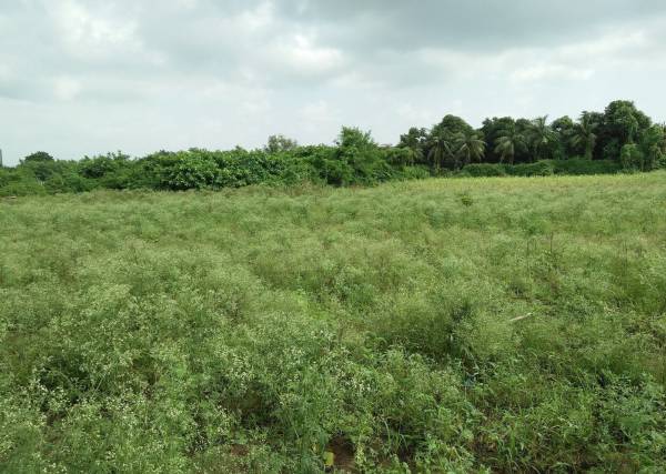 Elevation amrut-udhyog-nagar-3-vibhag-c Elevation