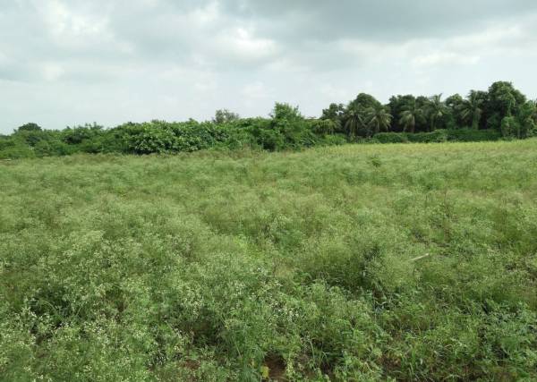 Elevation amrut-udhyog-nagar-3-vibhag-b Elevation