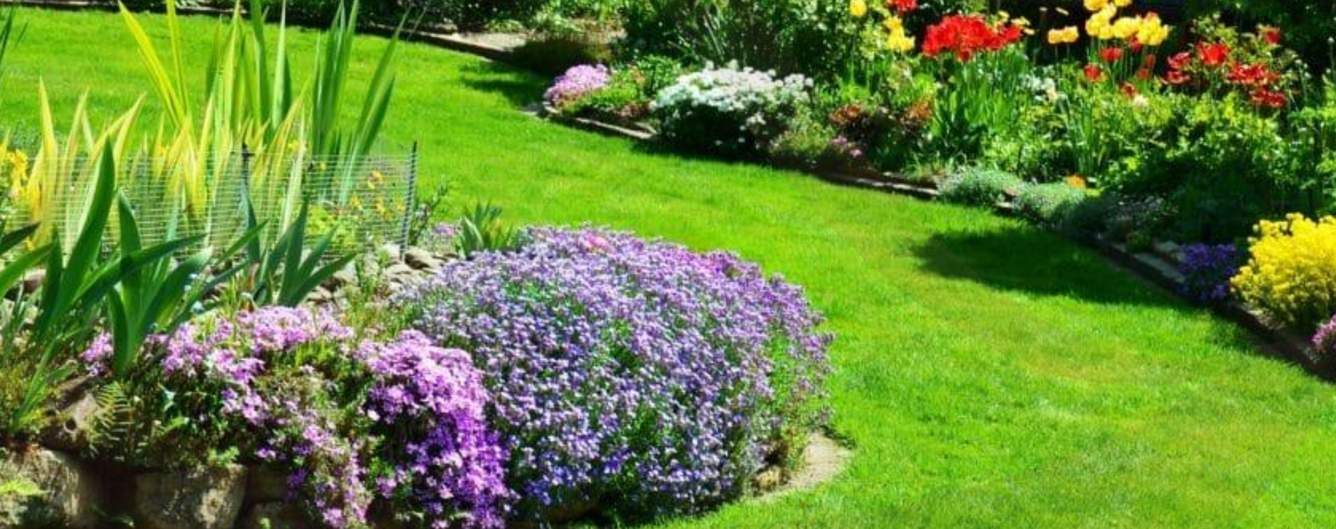  the valley orchard Landscaped Gardens