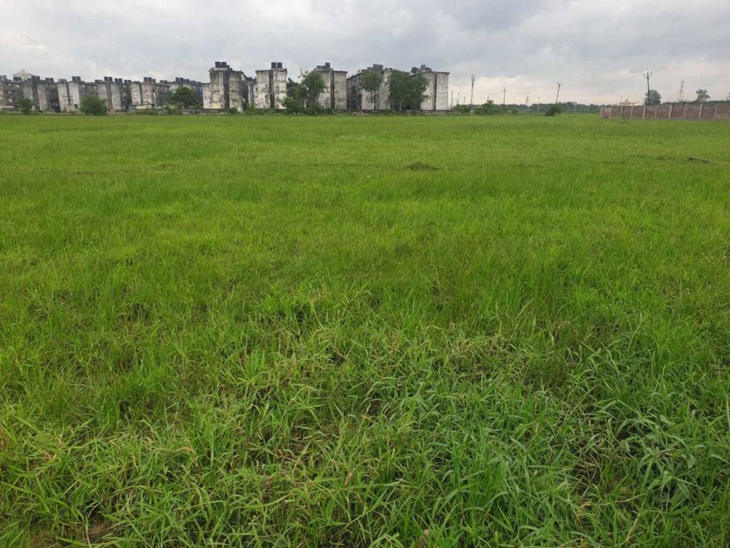 Elevation mahek residency Elevation