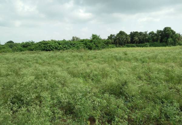 Elevation amrut-udhyog-nagar-3-vibhag-a Elevation