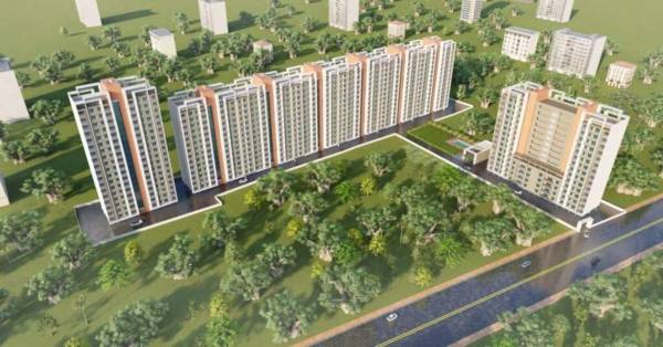 Elevation falcon Elevation