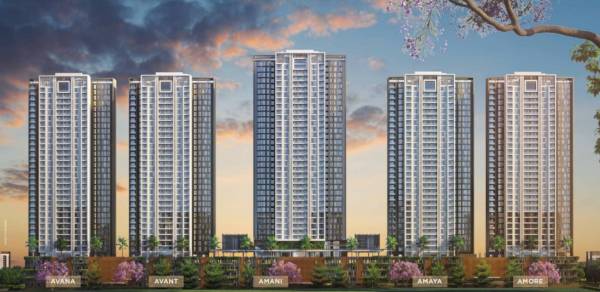  livience-aleenta Elevation