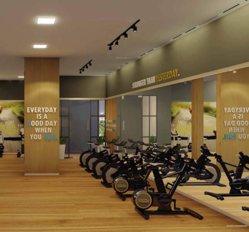  livience aleenta Gymnasium