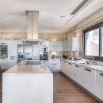 mainOther of Livience Aleenta