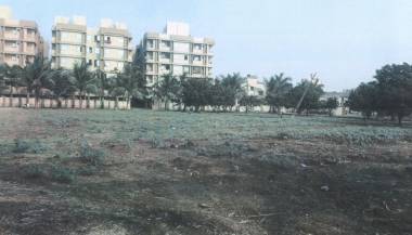 Elevation  golden-velly Elevation