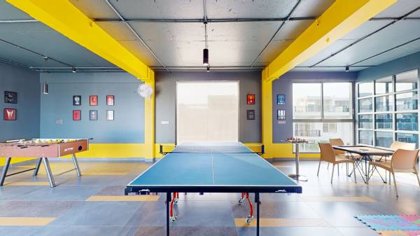  freesia Indoor Games