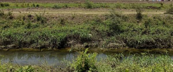 Elevation kunj-villa Elevation