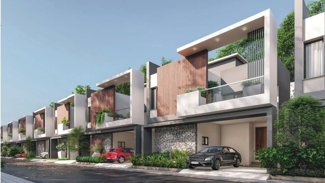  classic meadows Elevation