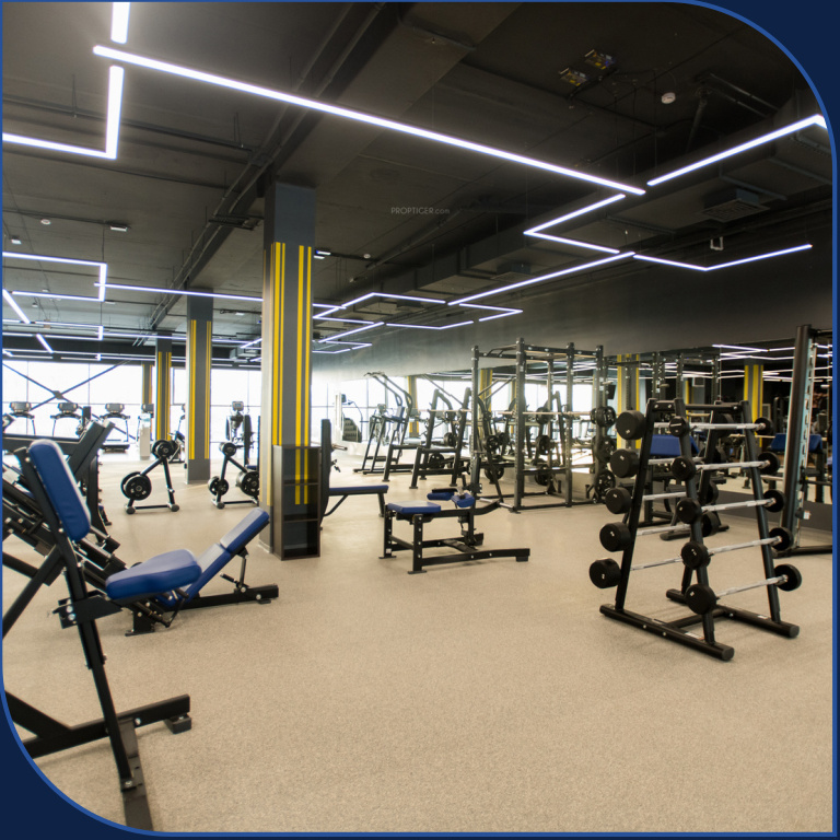  classic meadows Gymnasium