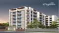 Shreeji Realty Vadodara Dream Elegance C D E