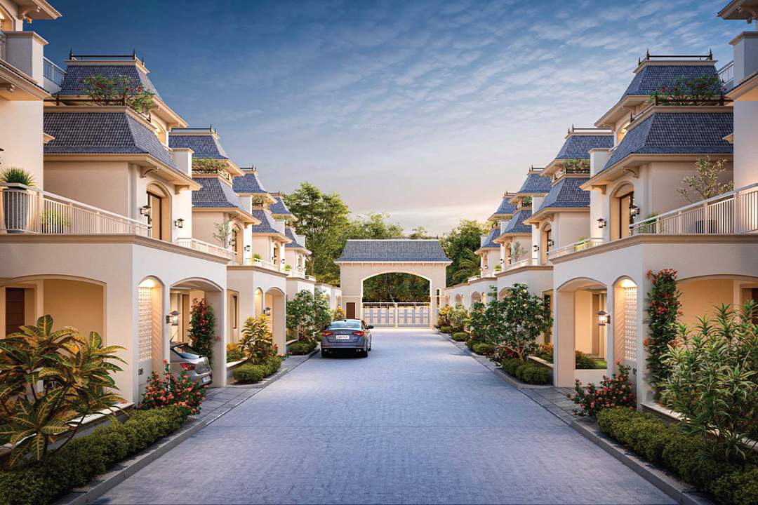  viranchi eleanor calista Elevation