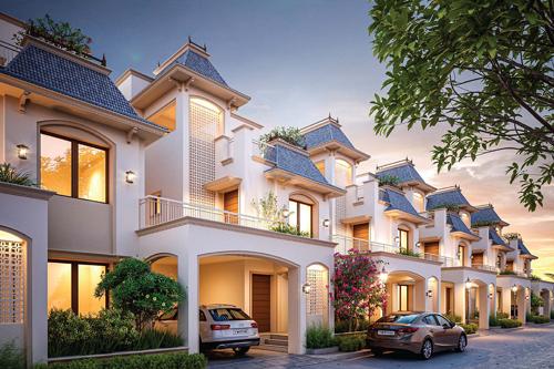  viranchi-eleanor-calista Elevation