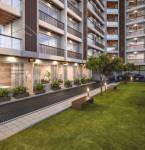 Others mulberry-heights Others