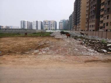 Elevation  akshar-villa Elevation