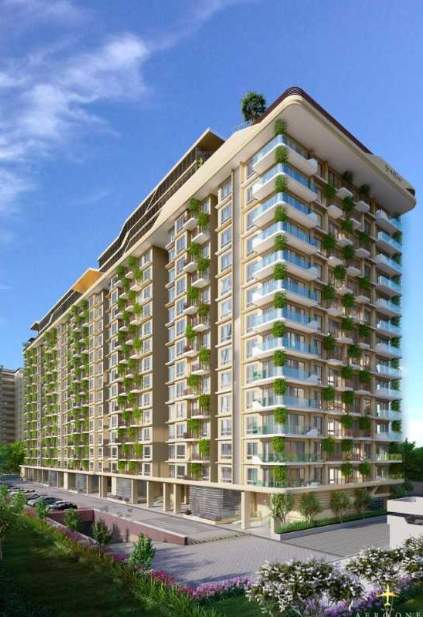  mvn aero one t5 and t6 Elevation