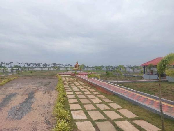  sunsiri-green-delight-empire Plot