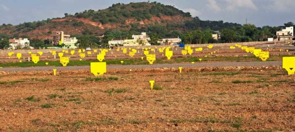  sunsiri-green-delight-empire Plot