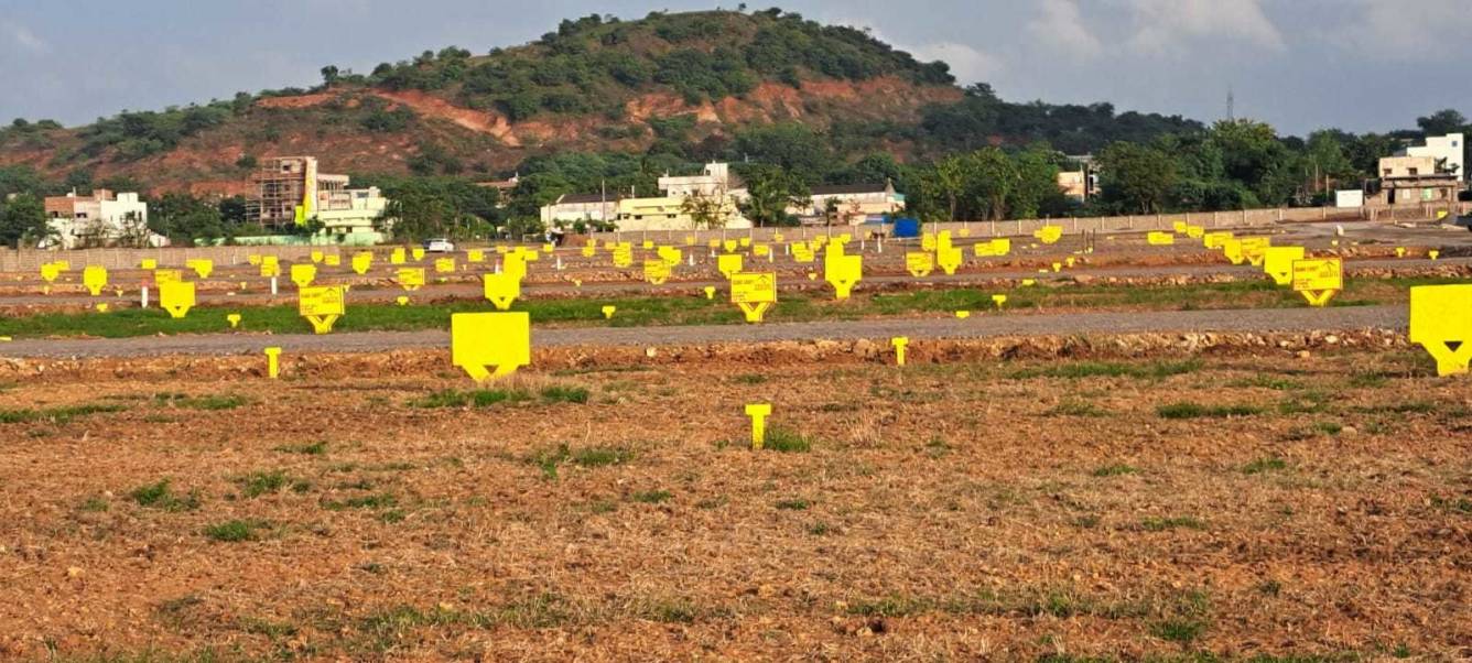  sunsiri green delight empire Plot