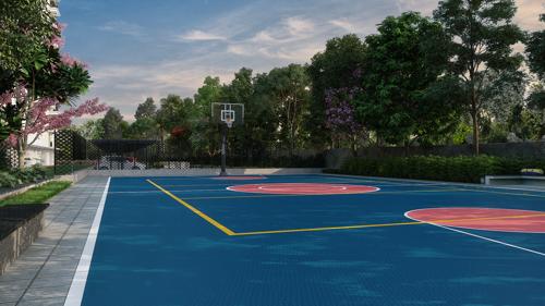  meridian Basketball Court