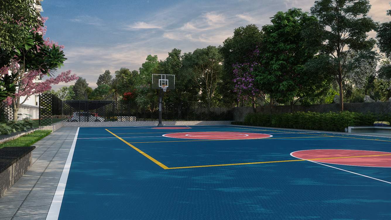  meridian Basketball Court