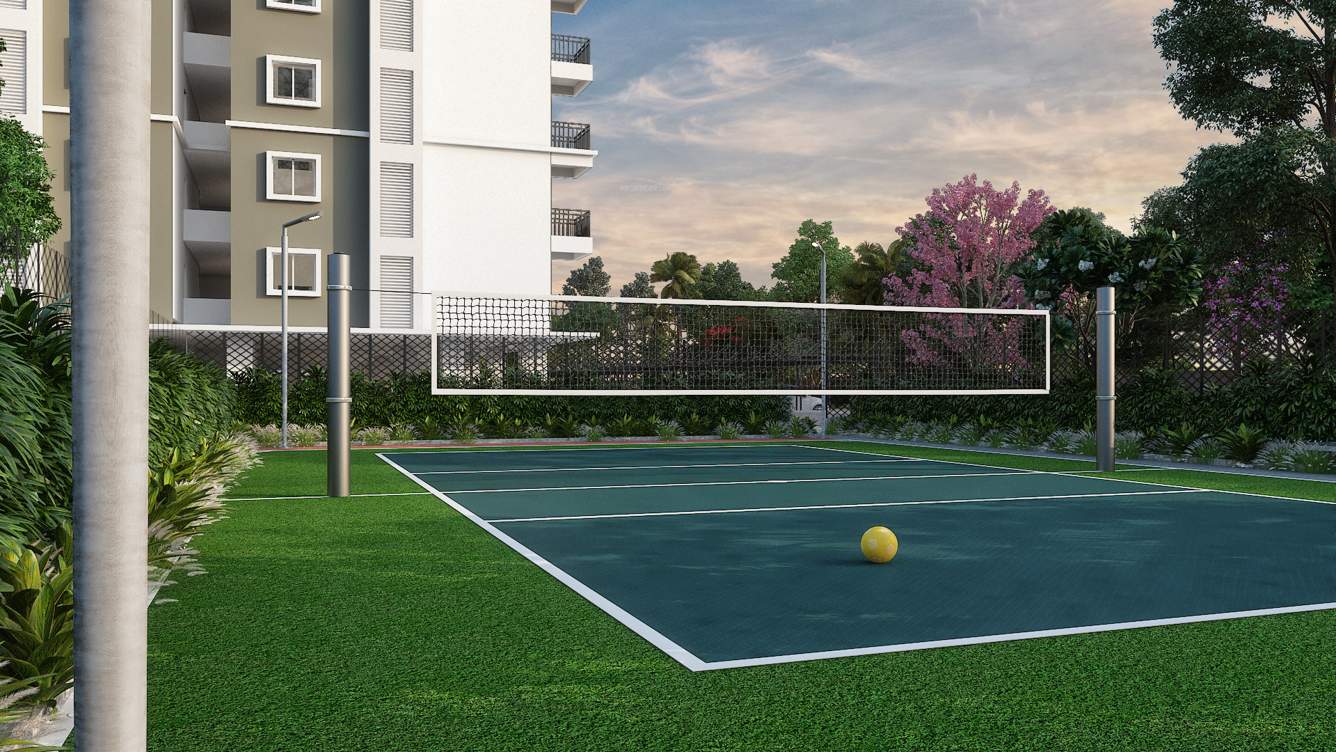  meridian Volleyball Court