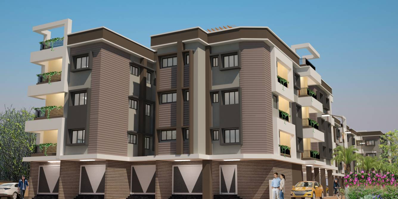  woodland nest Elevation