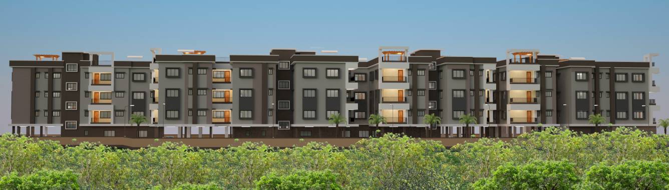  woodland nest Elevation