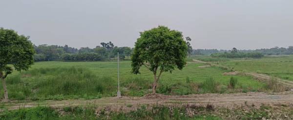 Elevation amar-bari-joka-1 Elevation