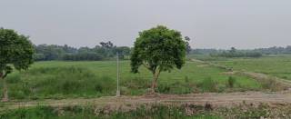 Project Image Project Image