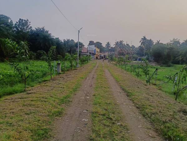  amar-bari-joka-1 Internal Roads & Footpaths