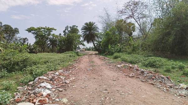 Elevation golden-land Elevation