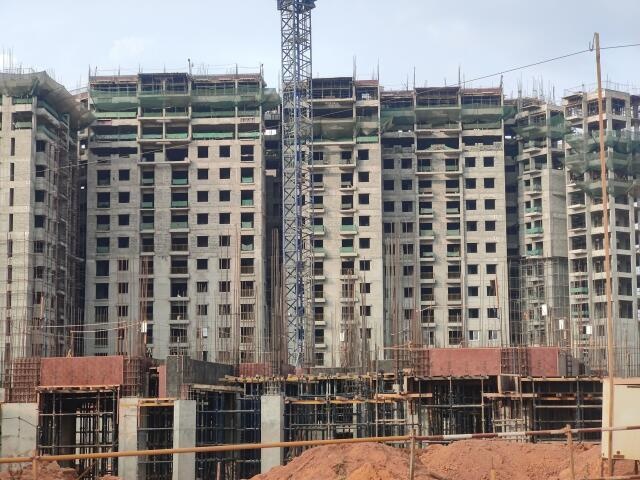 Ivory Phase 2 At Brigade Orchards