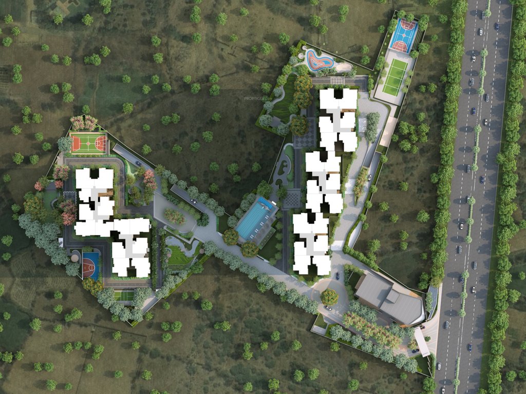  orchid life Elevation