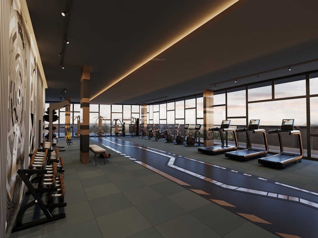  orchid life Gymnasium