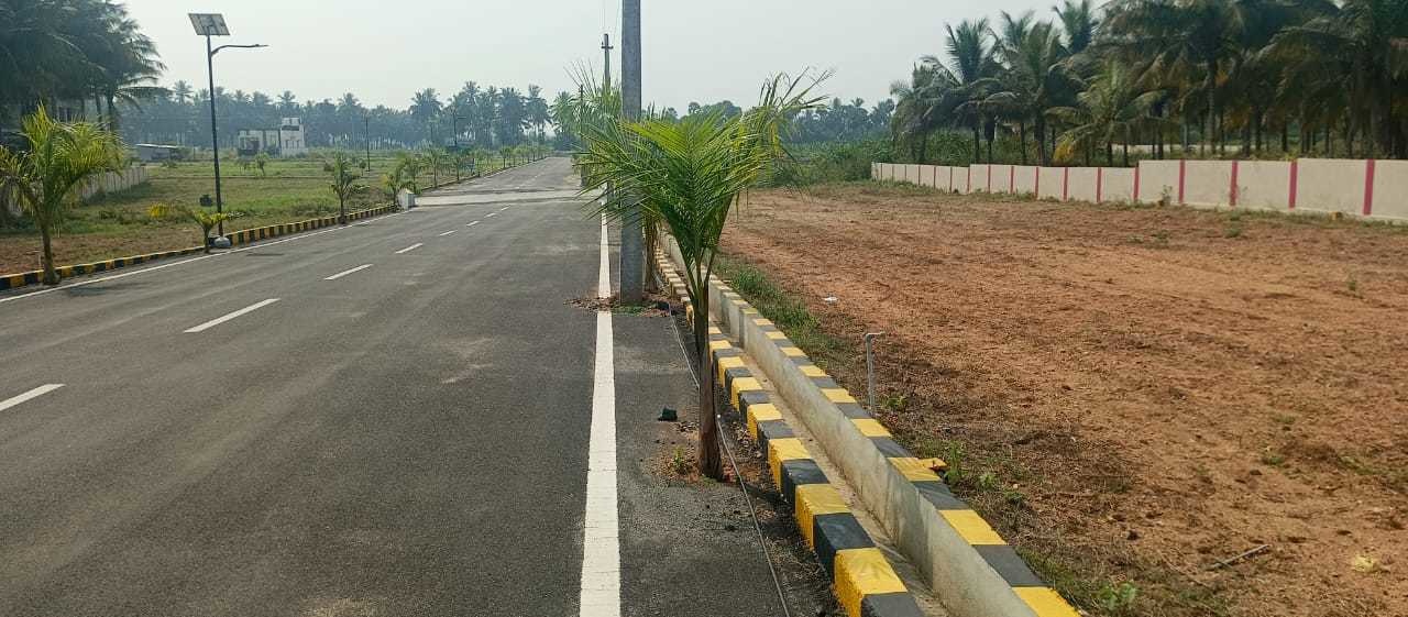  everest orchid springs phase 2 Plot