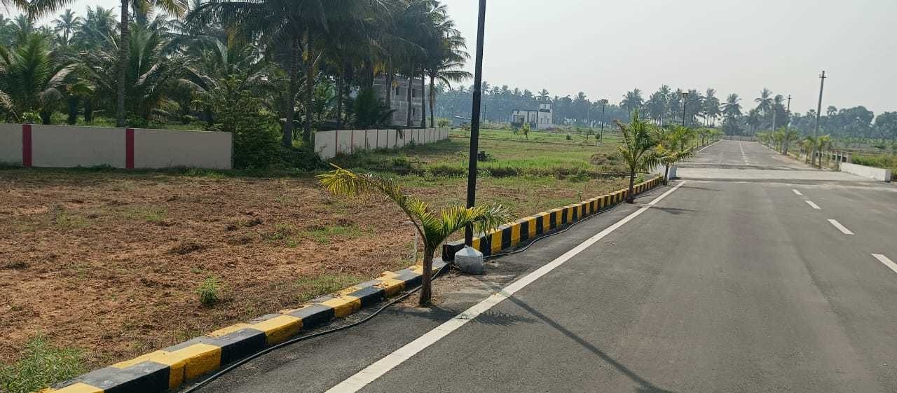  everest orchid springs phase 2 Plot