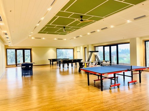  tribhanga Indoor Games