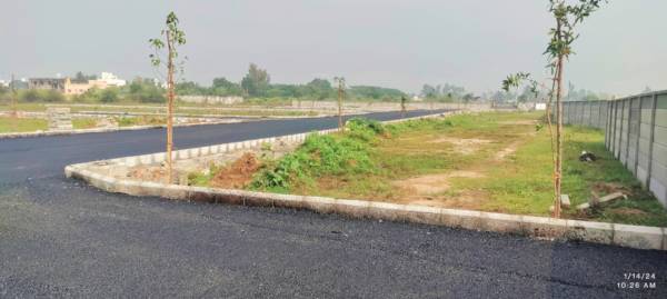 Elevation mangal-enclave Elevation