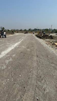 bella-vista Elevation Elevation