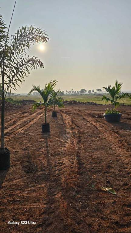  ashwadhaa organic gardens Plot