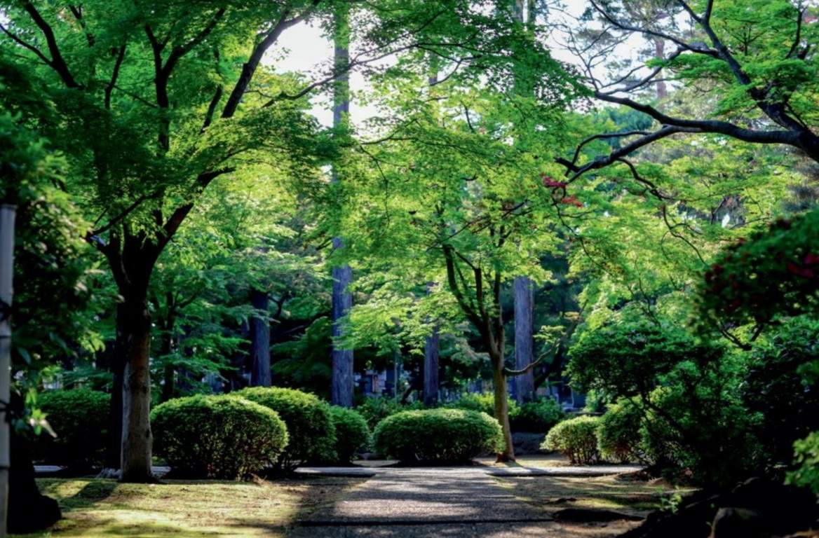  swastik greens Landscape Garden and Tree Planting