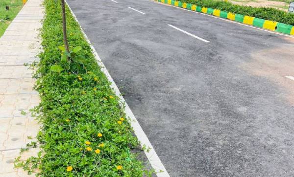  sizzle-meadows Internal Roads & Footpaths