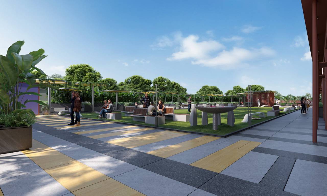  reanand Senior Citizen Sitout