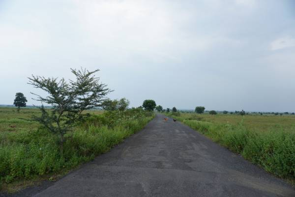  central-cost-city Plot