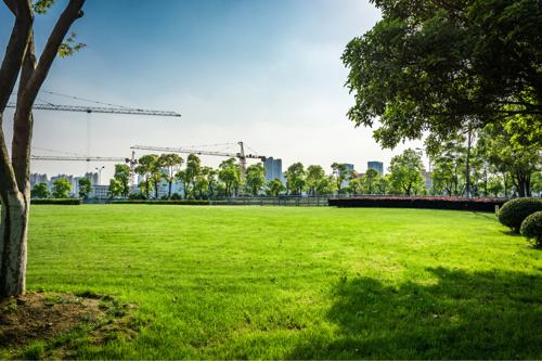  arudra Landscape Garden and Tree Planting