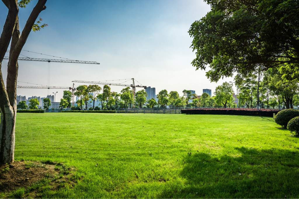  arudra Landscape Garden and Tree Planting